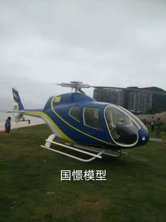 吉安县飞机模型